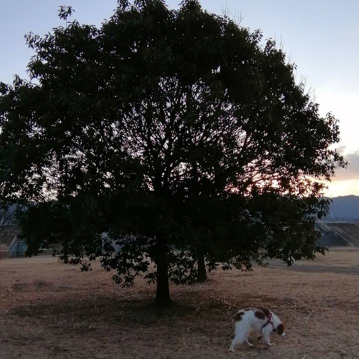 5926078b fca2 42b9 93f2 b89304954d8b 1612570868377