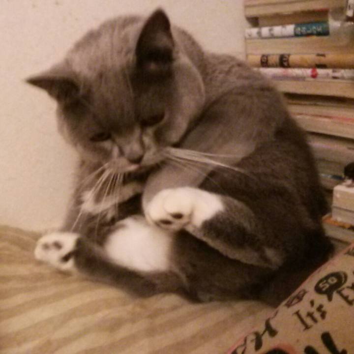 59265c1f f192 4440 b73f ae5e1e44a7bc 1572852896815