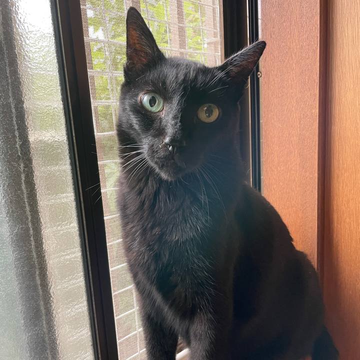 59269d17 4522 400b b569 5d54a3f68c45 1633225422932