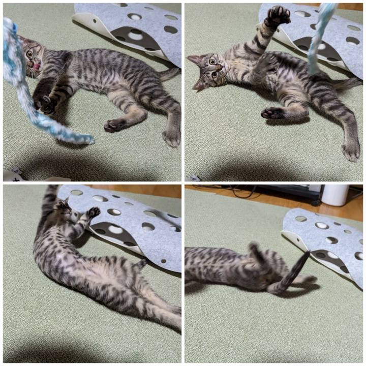 5926af12 8471 4dfc af56 43f209891ead 1702107688307