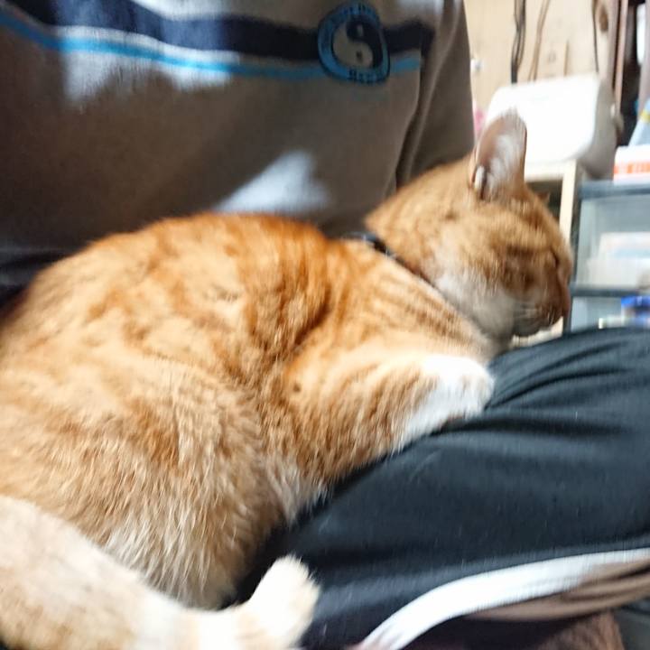 5926b7c5 b9d3 4439 a9d4 640ca28f423b 1605388321351