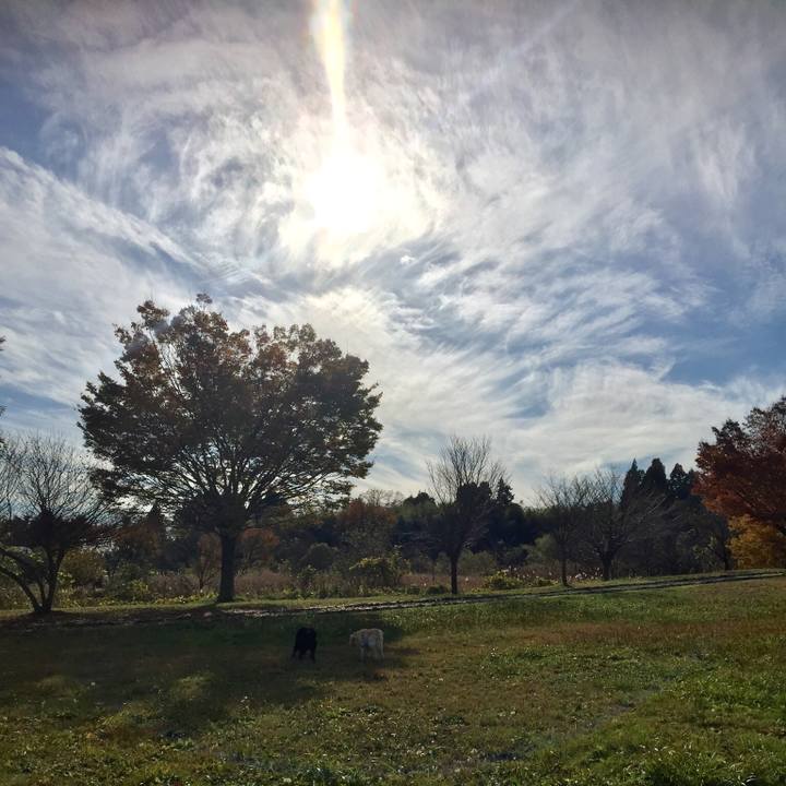 5926c2b9 b431 4ffd 8a0a 03f9e20fdf54 1543049322501