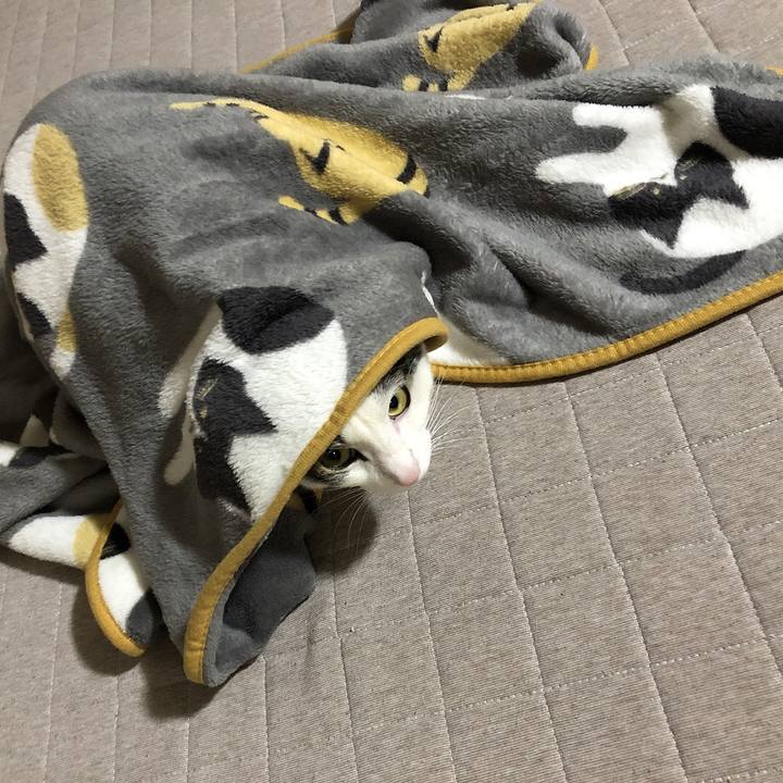 5926cae5 4c3d 4312 938c a18babdceb78 1642591371580