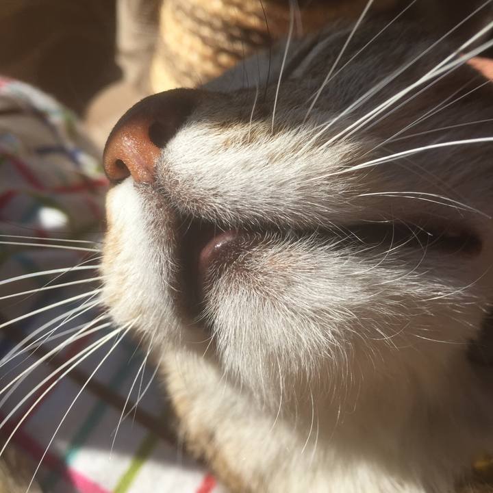 5926da15 6efa 4ef8 aa10 a7d5ddf7b665 1553383300190