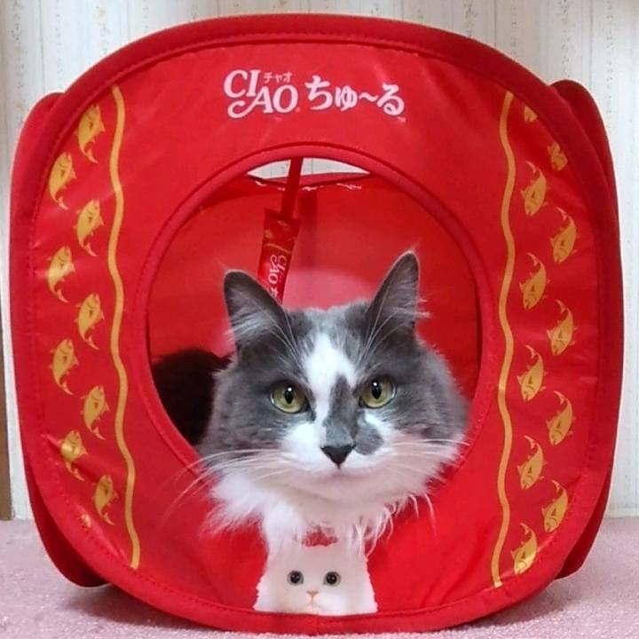 5926e73d cb35 44e2 9c23 22852b6c1ec6 1677140276876