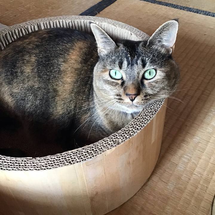 5926ed12 31d5 4d6f afc4 27e9e9d38ebd 1725499544430