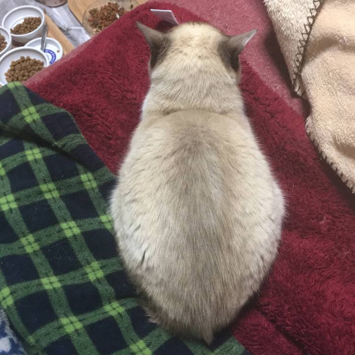 59270b44 ffd0 4b30 888b 1ae2739f0365 1519914035620