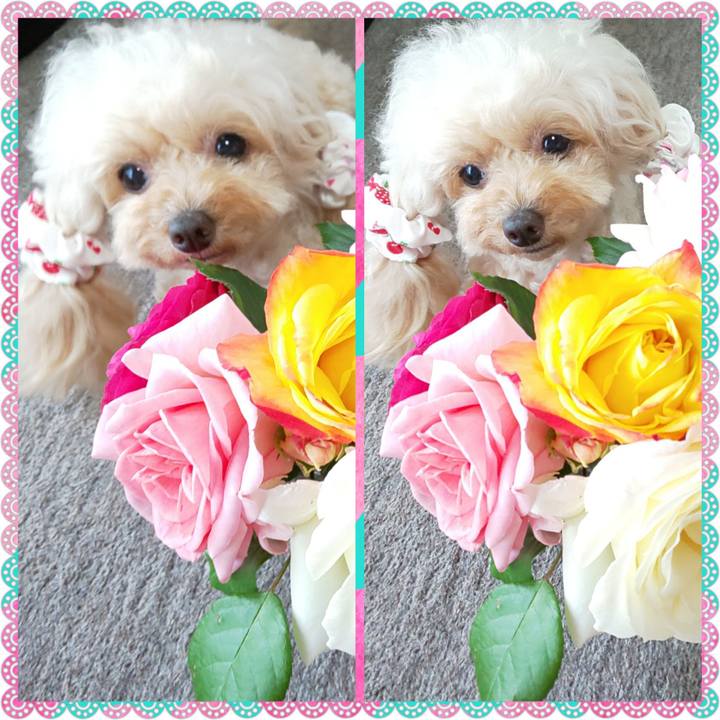 592719a6 c769 4146 a31b 3ad8f8447178 1622612625762