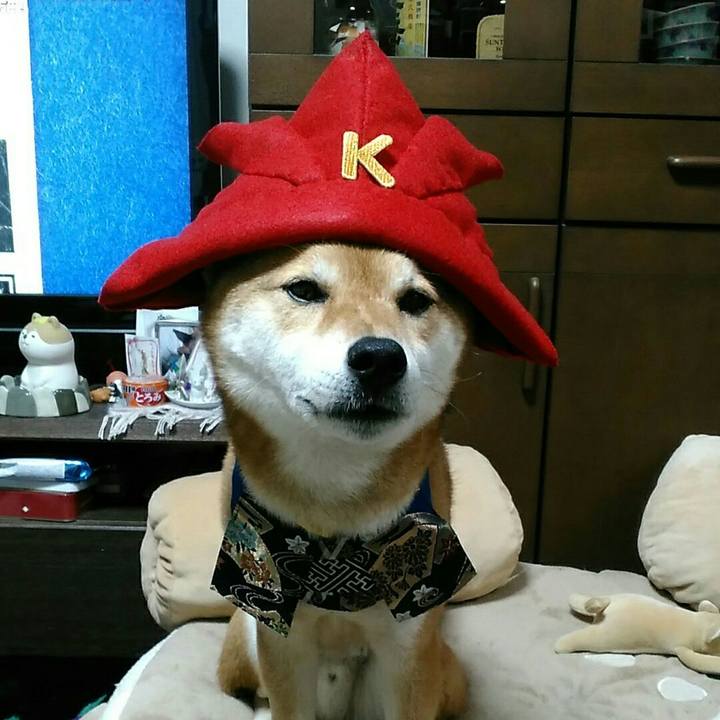 59271a2d 558d 4f21 af40 5ecb63e61191 1556021072542