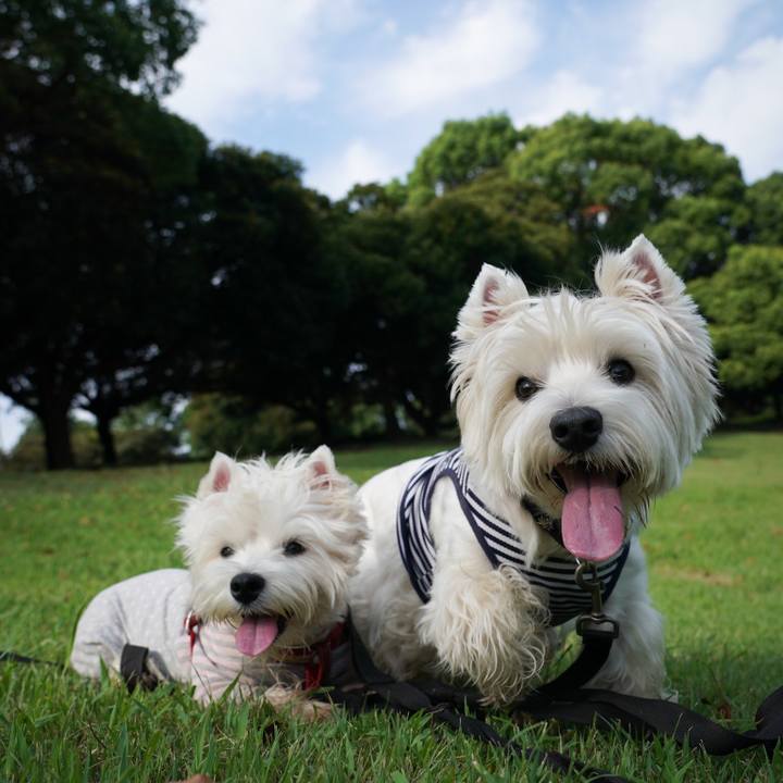 59278b73 0fcc 4d63 97ab 92d086f0b814 1536234904995