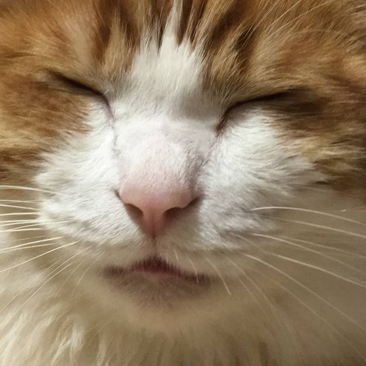 5927ad92 ad62 440a 97c1 f08f3a9f4519 1547403803814