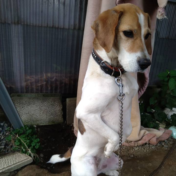 5927fab7 dc60 4c74 96ef b2b70c841205 1653992648601