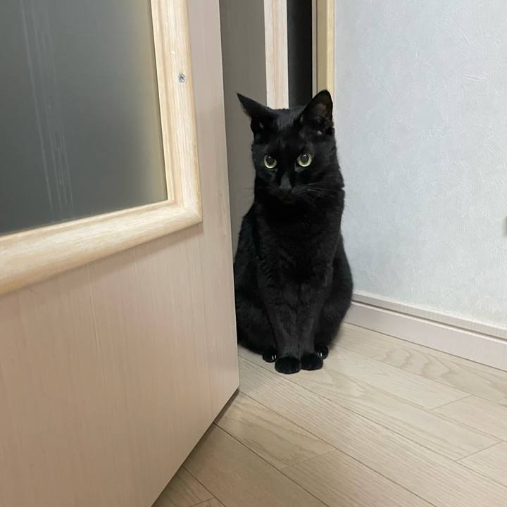 59280965 f71b 4cdf a03a 5d8d3bed26f9 1746272261714