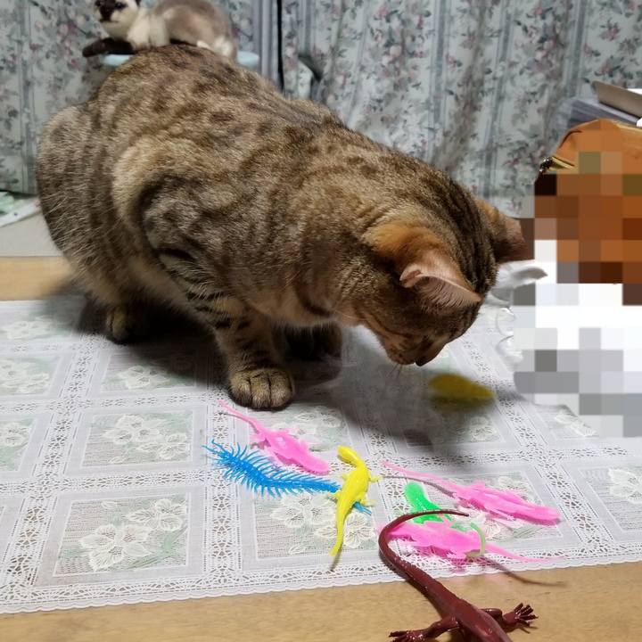 592812e2 d627 49cf 837b 821aab96d425 1599734921160