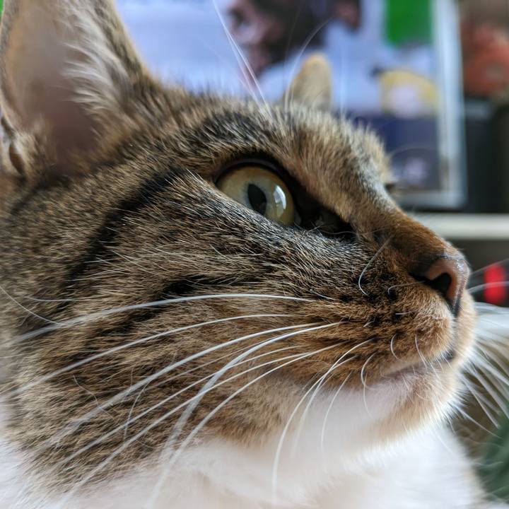 59281c75 b22a 4b30 bd68 3829a17e3d6a 1688100349079