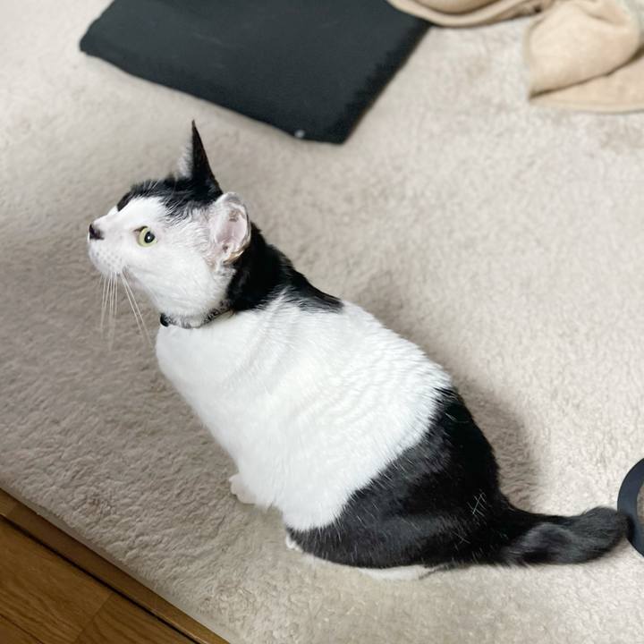 59287dea b332 4752 9637 470ce7cc6d1f 1770936322106