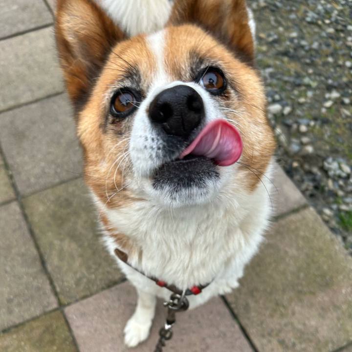 59287f29 f24c 48dc a3cd e203d58028b7 1764714203877