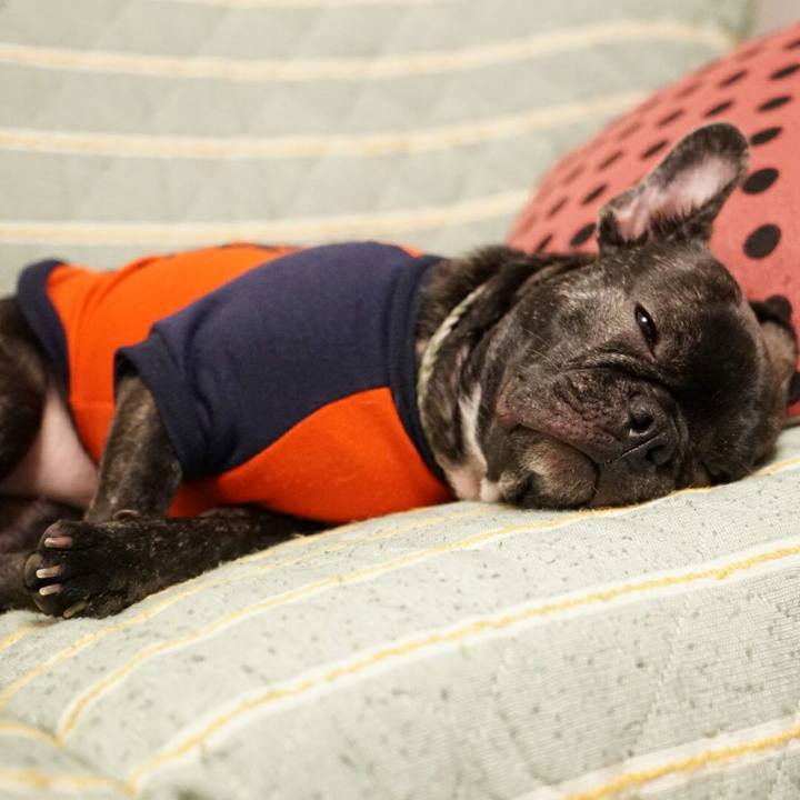 5928879b b509 4b1e b9be e73e13ca180b 1508906442492