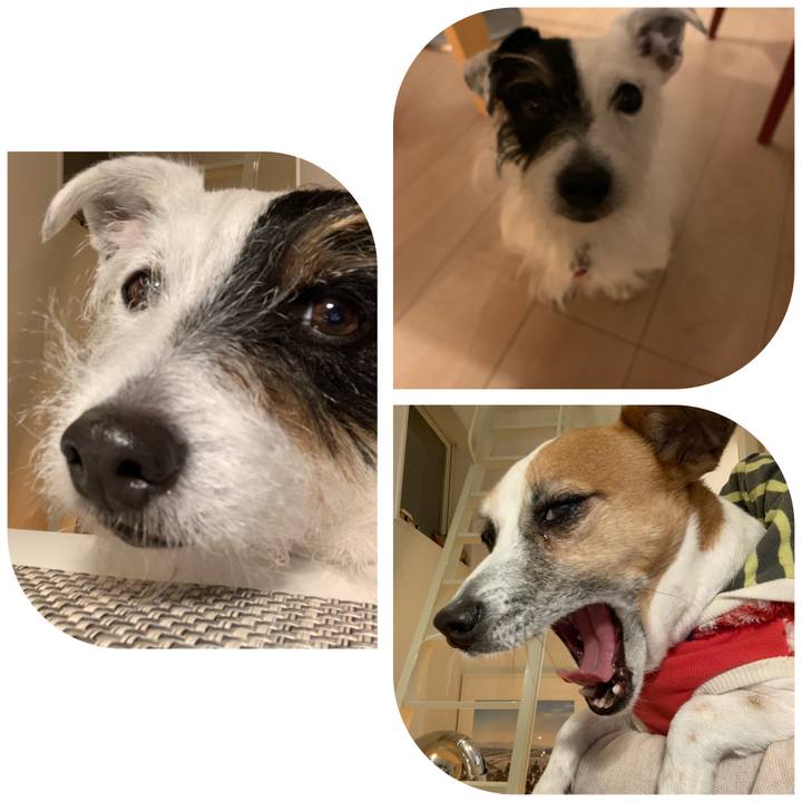 59290f64 7490 4cc1 bbe8 203fcf19ad72 1610014947953