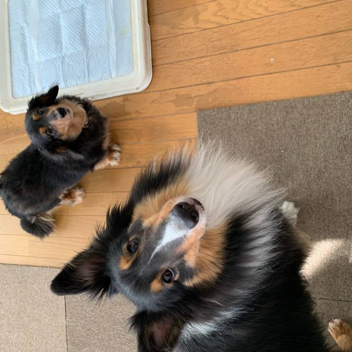 5929355d 779a 40d9 8f3a aeb1e66c133b 1591738934846