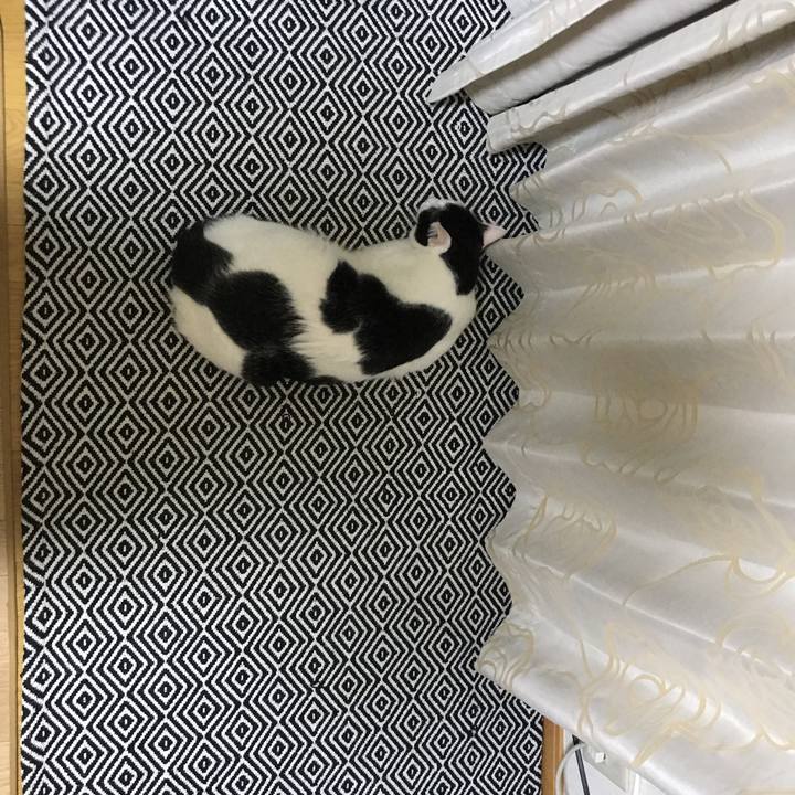 59296062 e989 455e 9e26 cf427abd27fd 1536142629788