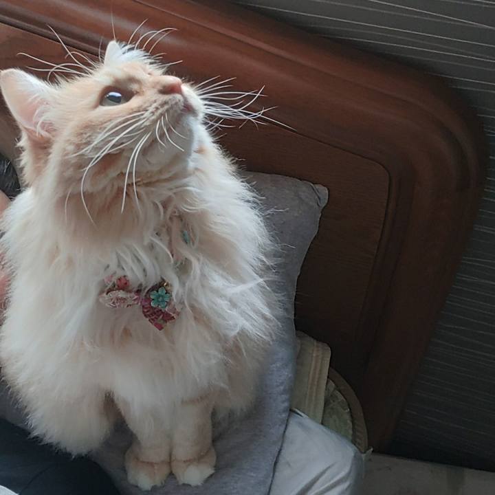 59298cef cfd1 4c85 8756 c230c7ce9218 1679609902384