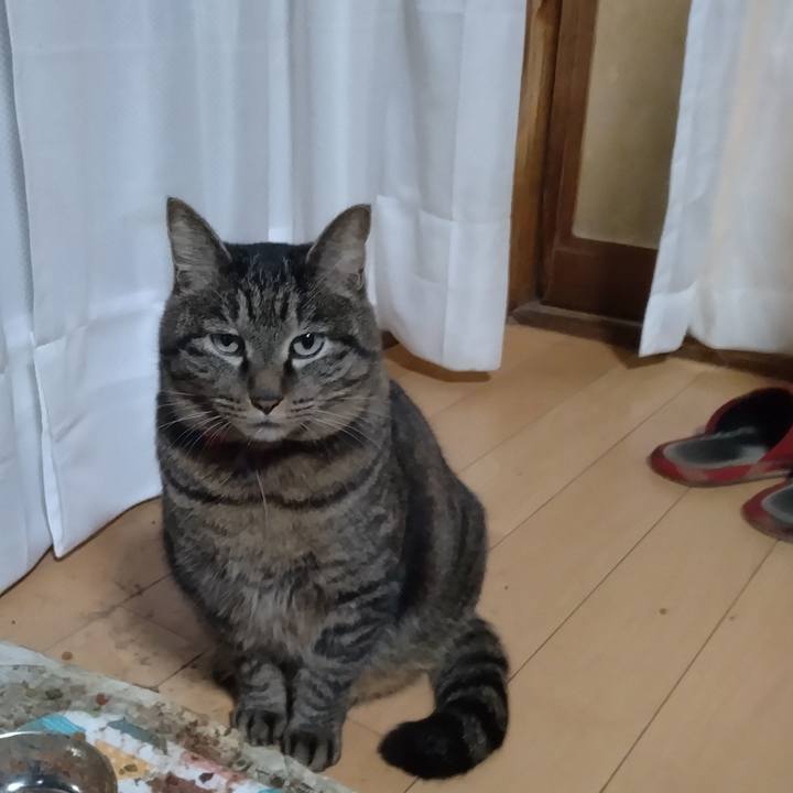 59299325 3895 49cc 9ee8 f404fa85fa8b 1677362027476