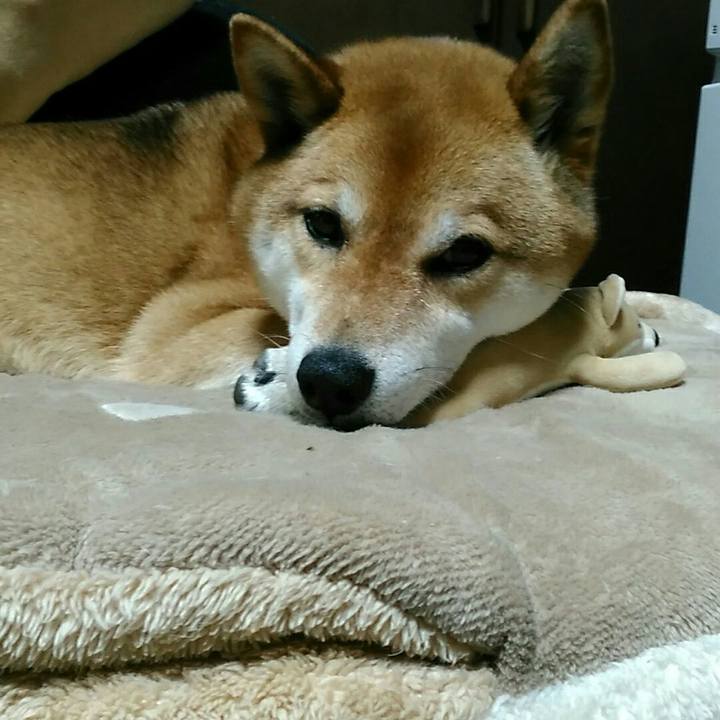 592997e7 8b18 4681 b85f e236fffcff5b 1560866700759