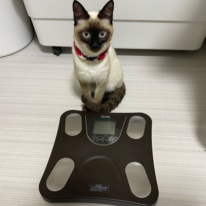 5929abfb 87a2 44de 903d 5799f13f8338 1706815637033