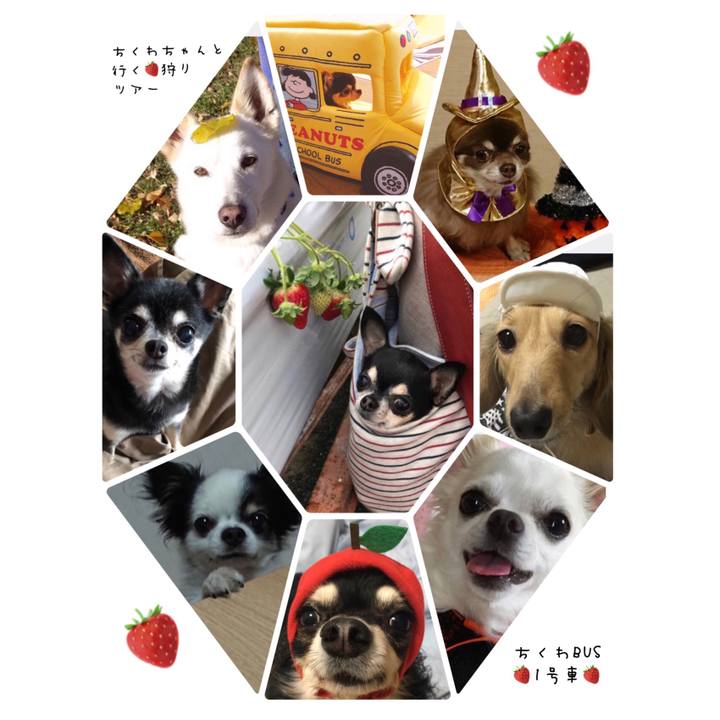 5929b327 4700 4390 b4a2 b114592eabeb 1539695173226