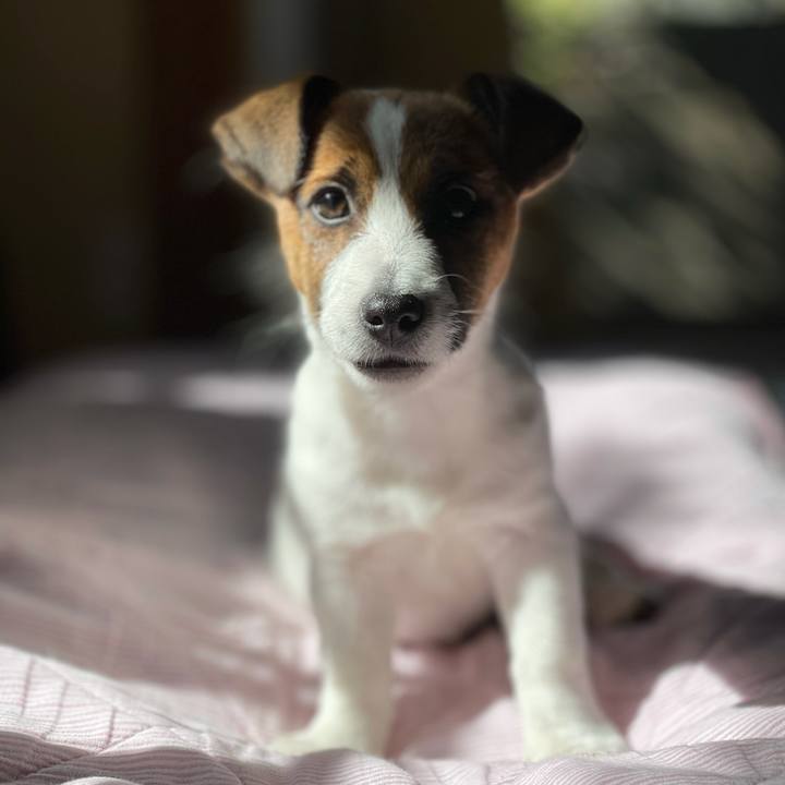 5929c2ca dc1a 4775 b6e4 1180fc8b9815 1618531763203