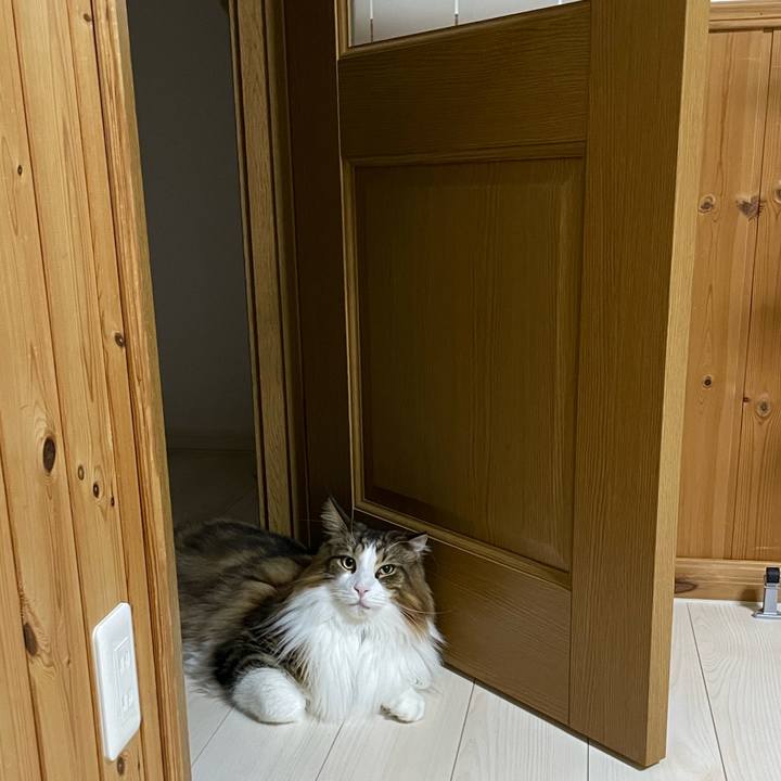 5929ed59 28c2 4cd3 a575 53a1912da554 1734555198572