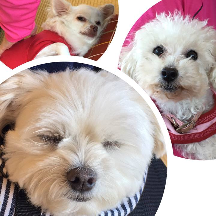 592a0056 1ce0 4fc1 9857 94ed78cd9366 1541126485483