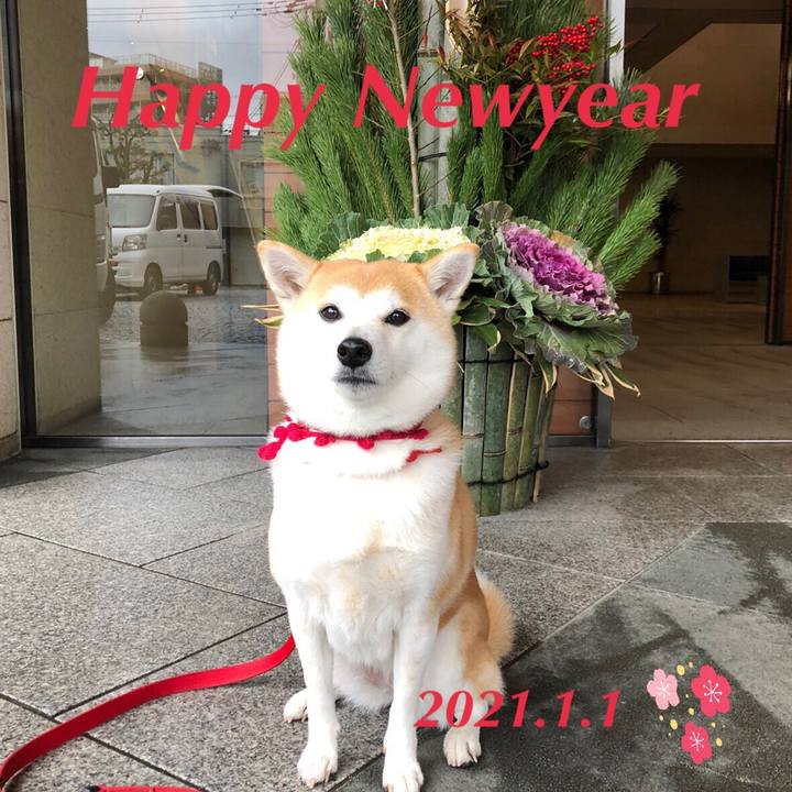 592a3a0c 7640 4682 b12e 7d8cb5eacd13 1609464321748