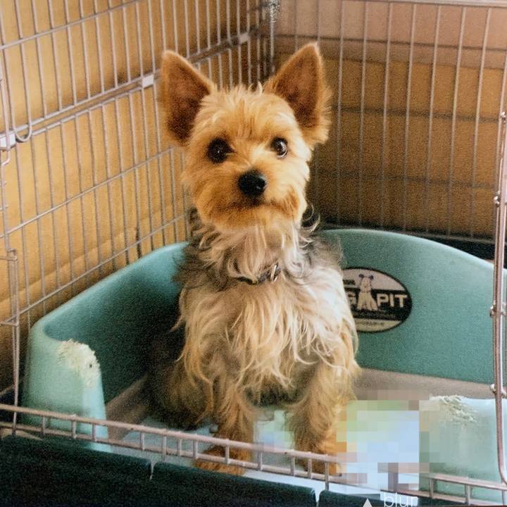 592a53fd 2ff5 49c7 988d 78cc30eb2a6a 1590824197583