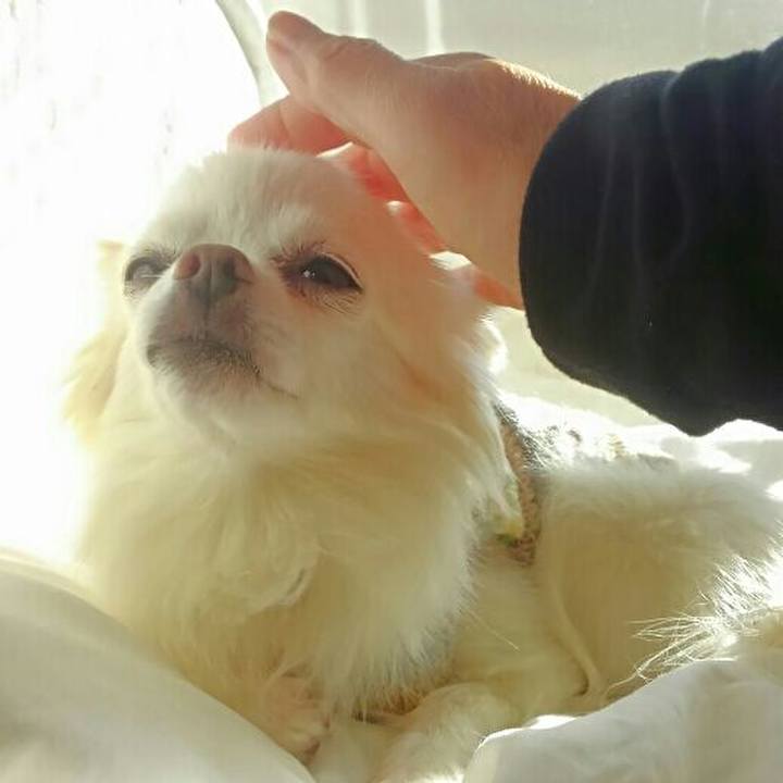 592ab254 52f4 45e0 b892 5a92b977f548 1546766096070