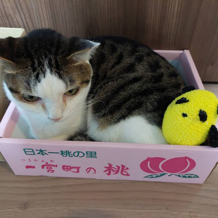 592aca15 571c 4352 9294 b700ccdd9305 1630968509146