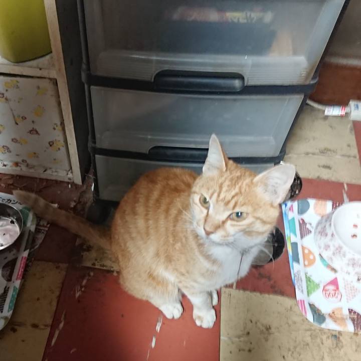 592af72b d494 427a 85ab 91b4638585be 1590782141423