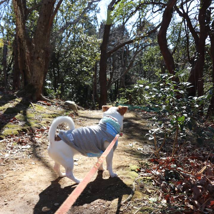 592b5845 ad22 462f b5b0 899259f1b36e 1517977108969