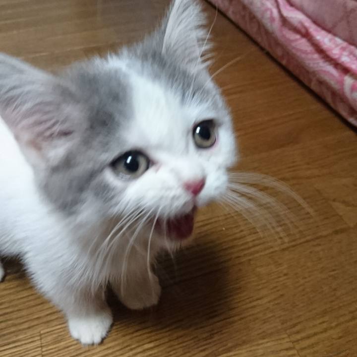 592b6411 a2d1 4125 ab2f 6bc9d1736c19 1525608615889