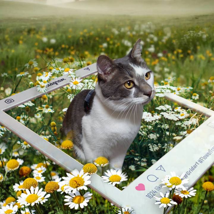 592b6493 95e8 44ab 883b ad9605c884e4 1717198879772