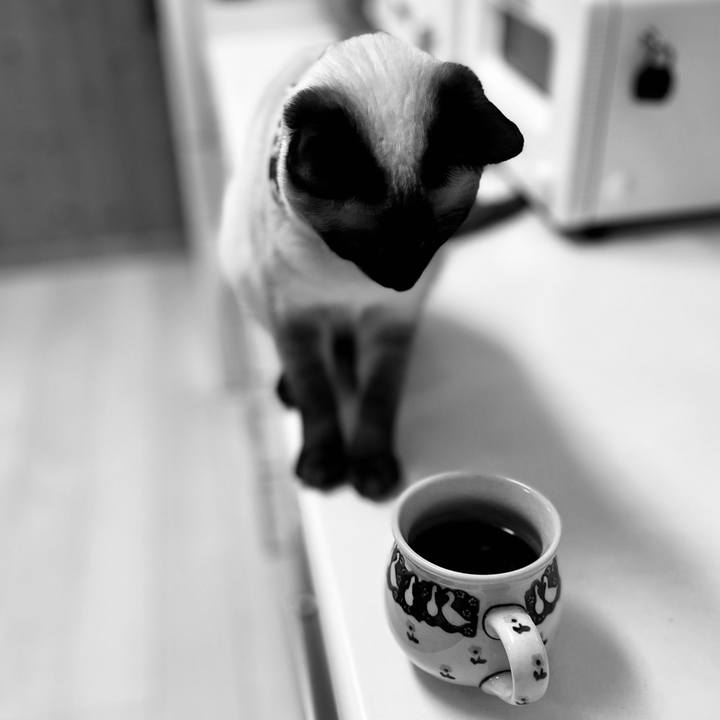 592b656d 2541 472b 97be 3ad174e47fb5 1709580610548