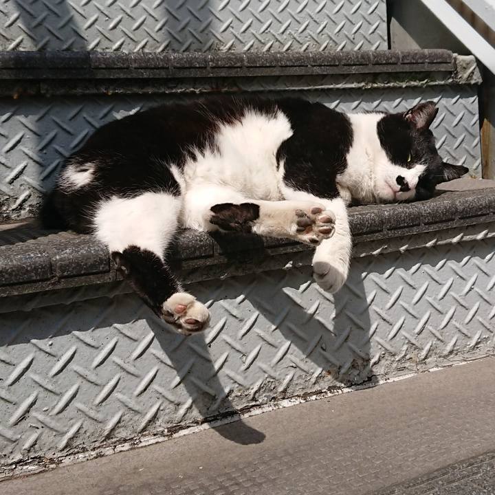 592b84b5 b835 4fe5 8123 5eb8f5ba5901 1553513331958