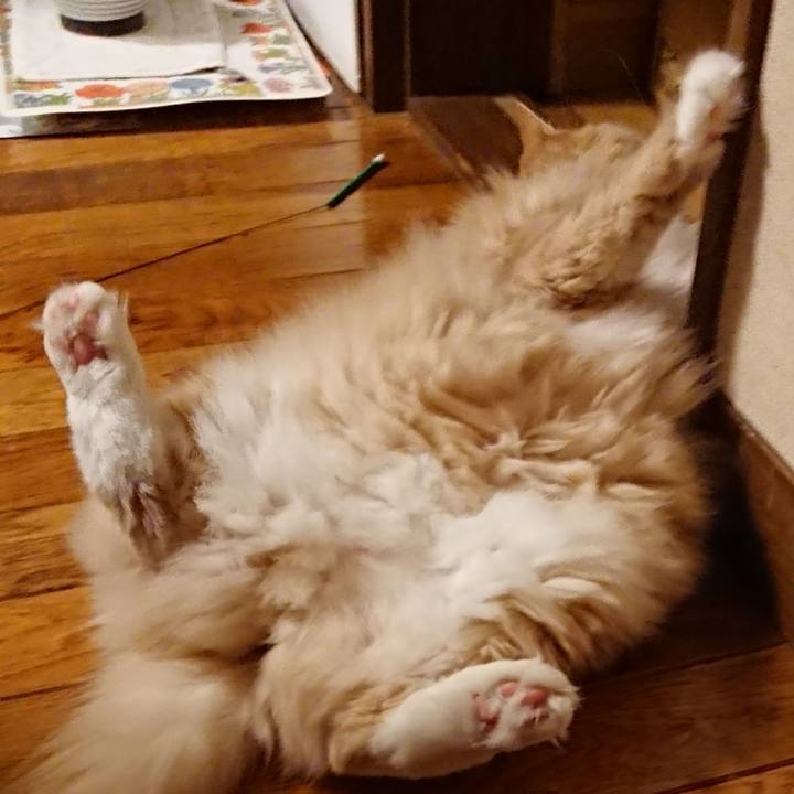 592bb73c 3c56 4ca9 a0e0 540afe5cfc6f 1538969015335