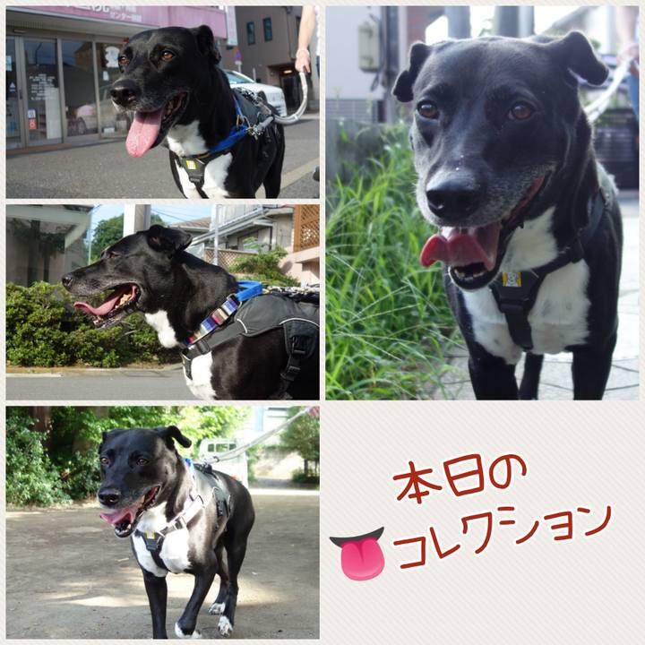 592bbb00 10ce 4e23 b69b a5a888e30e1b 1658619234479