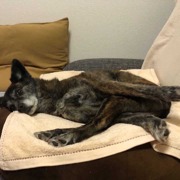 592bbe60 fad4 474c 8938 75cb53714d5f 1683863210277