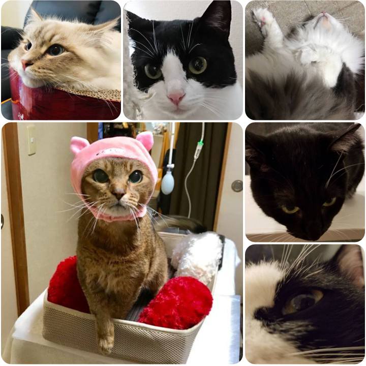 592bd7ee 3f03 4578 99e5 b26b82d66914 1557040330433