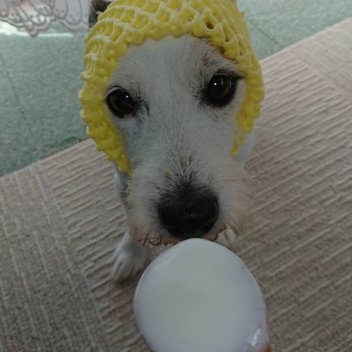 592bdef8 db18 4f17 a8d1 14e762d847df 1569454209547