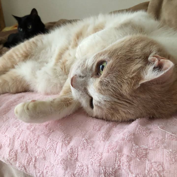 592be495 4b8d 411e b641 dbd775672be5 1594353055053