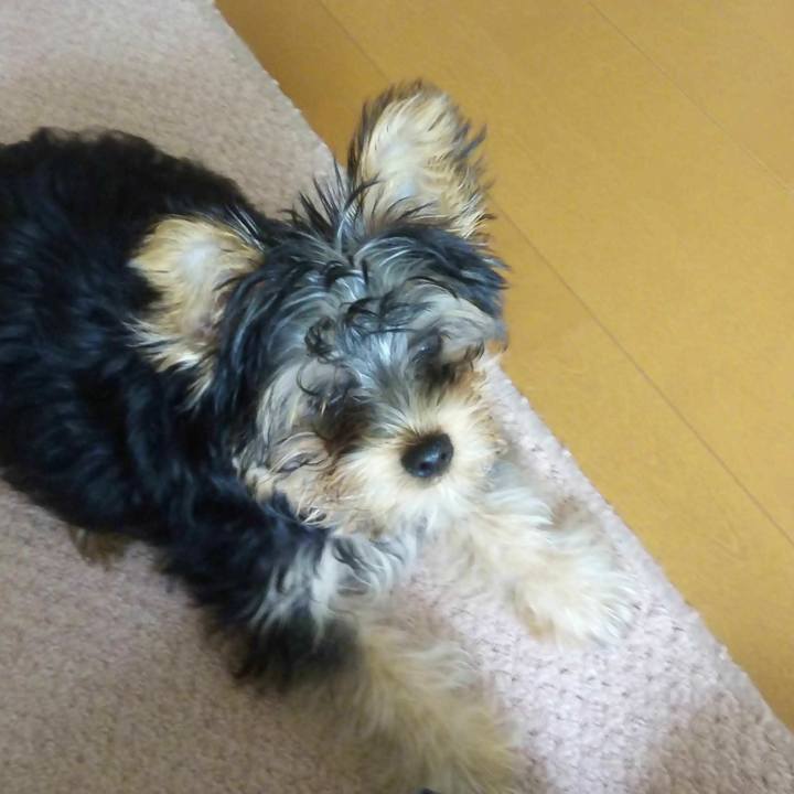 592c1166 f3ec 48ad a35c 8efc2acc5a55 1533212490079